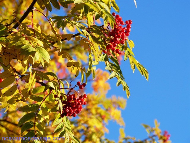 otoño en Kirkenes